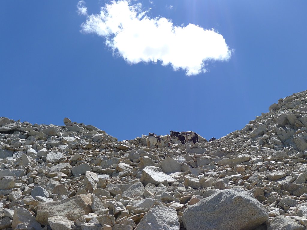 SouthernSierra 117